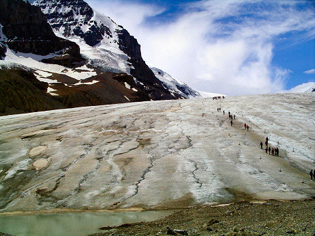 The Athabasca Glacier