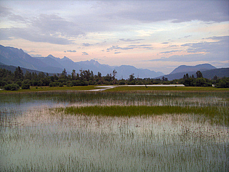 Columbia Wetlands