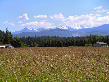 Olympic Mountains