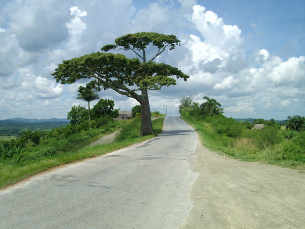 A typical country road