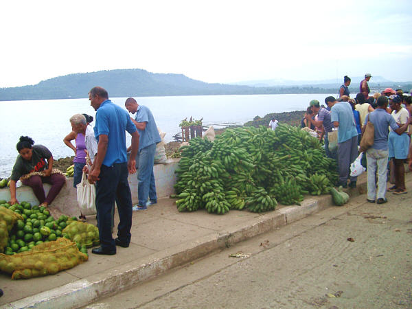 Baracoa Mercado