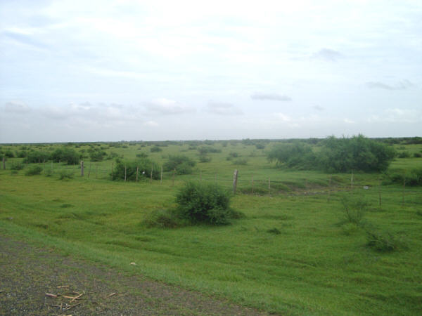 Coastal plain