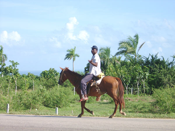Man on horseback
