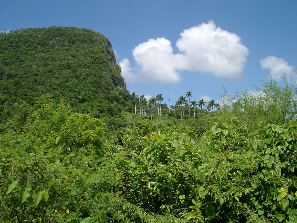 Highland east of La Habana