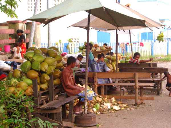 A Coconut Milk Stand