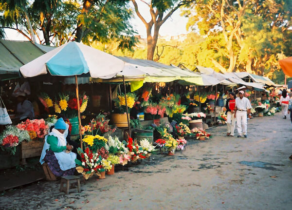 Tana Flower Market