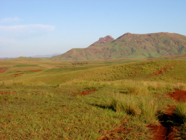 Peacefull Open Countryside