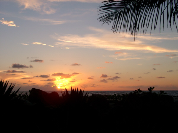 Sunset in Morondava