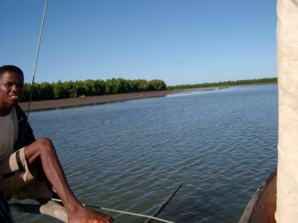 Paddling though the Mangroves