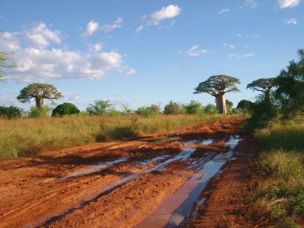 Muddy Road