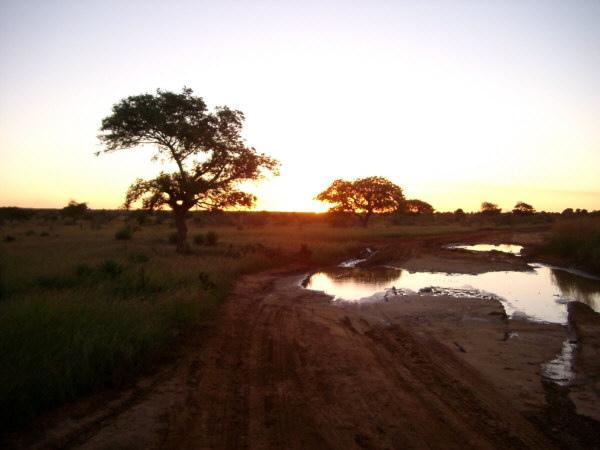 Southwestern Sunrise