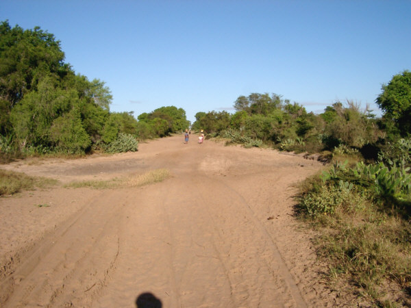 Sandy Road