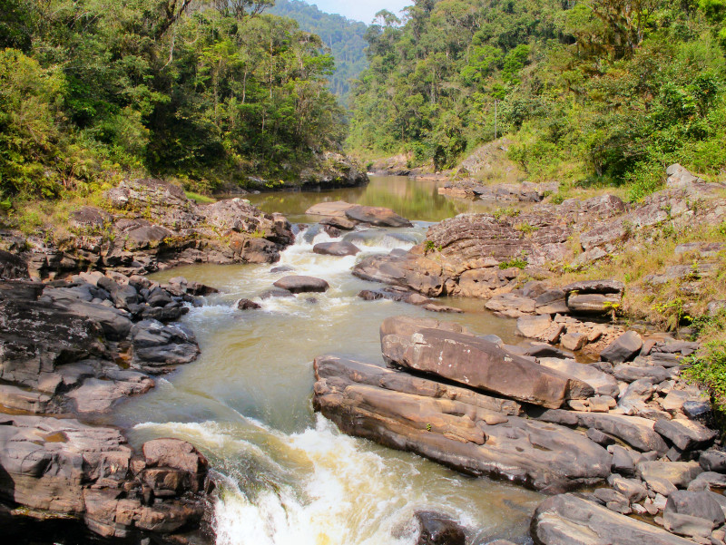 Ranomafana National Park