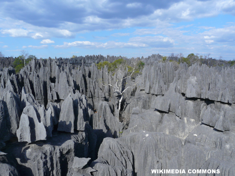 Tsingy de Bemaraha