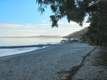 Fraser Island