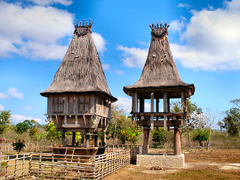 Timor Buildings
