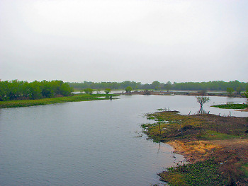 Rio Parana