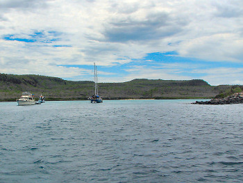 Barrington Bay, Isla Santa Fe