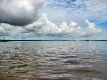Rio Amazon
