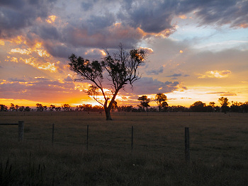 A Victoria Sunset