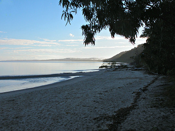 Fraser Island