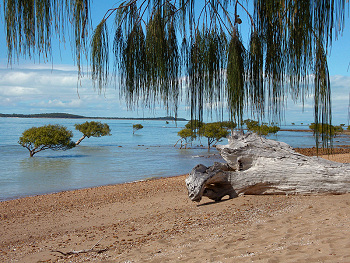 Beach at Clairview