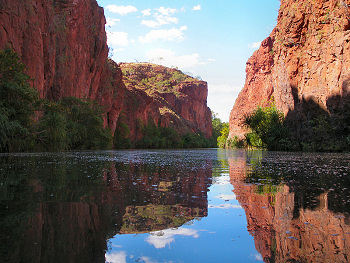 Lawn Hill Gorge