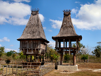 Village buildings