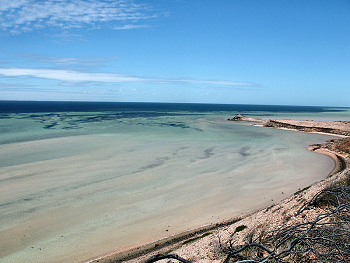 Shark Bay