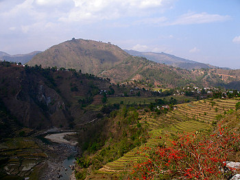 Hills and Terraces