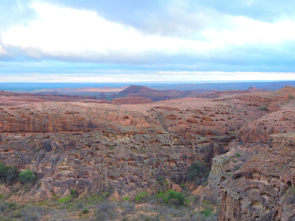  Roosting Cliffs