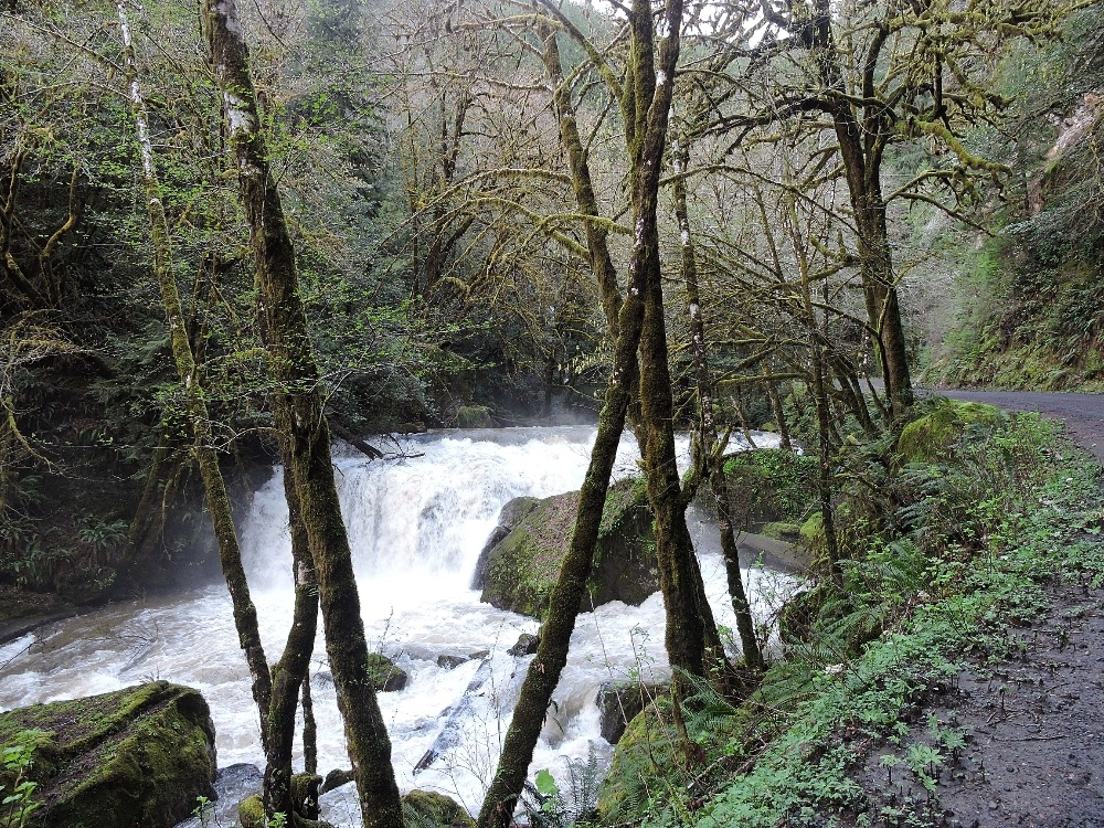 Falls on the Coquille