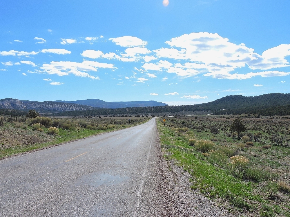 New Mexico scenery