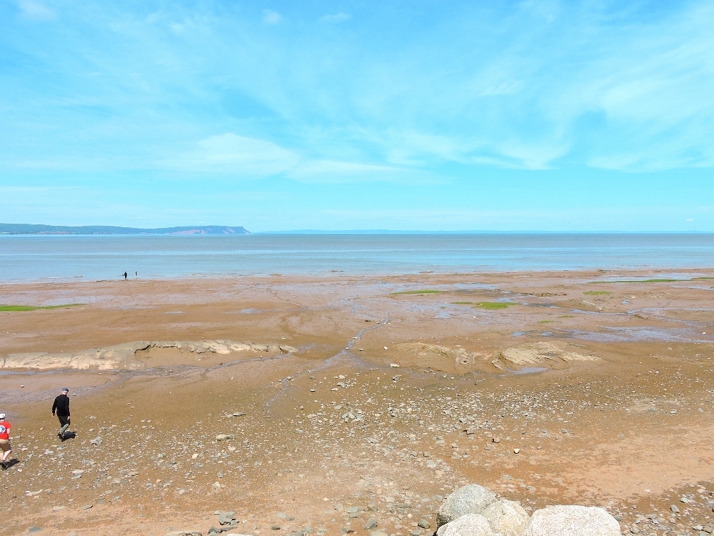 Fundy low tide 