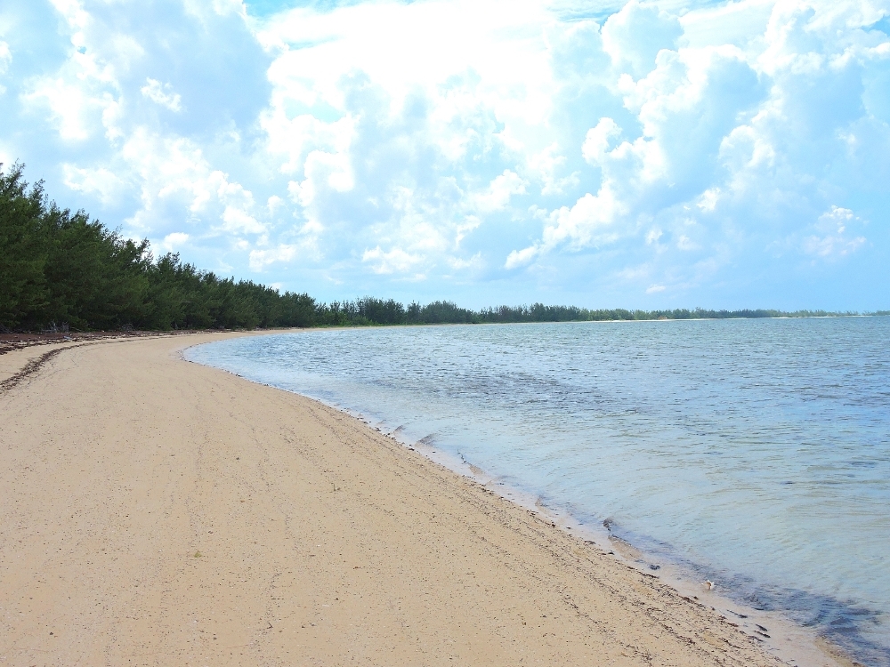 Beach on Andros