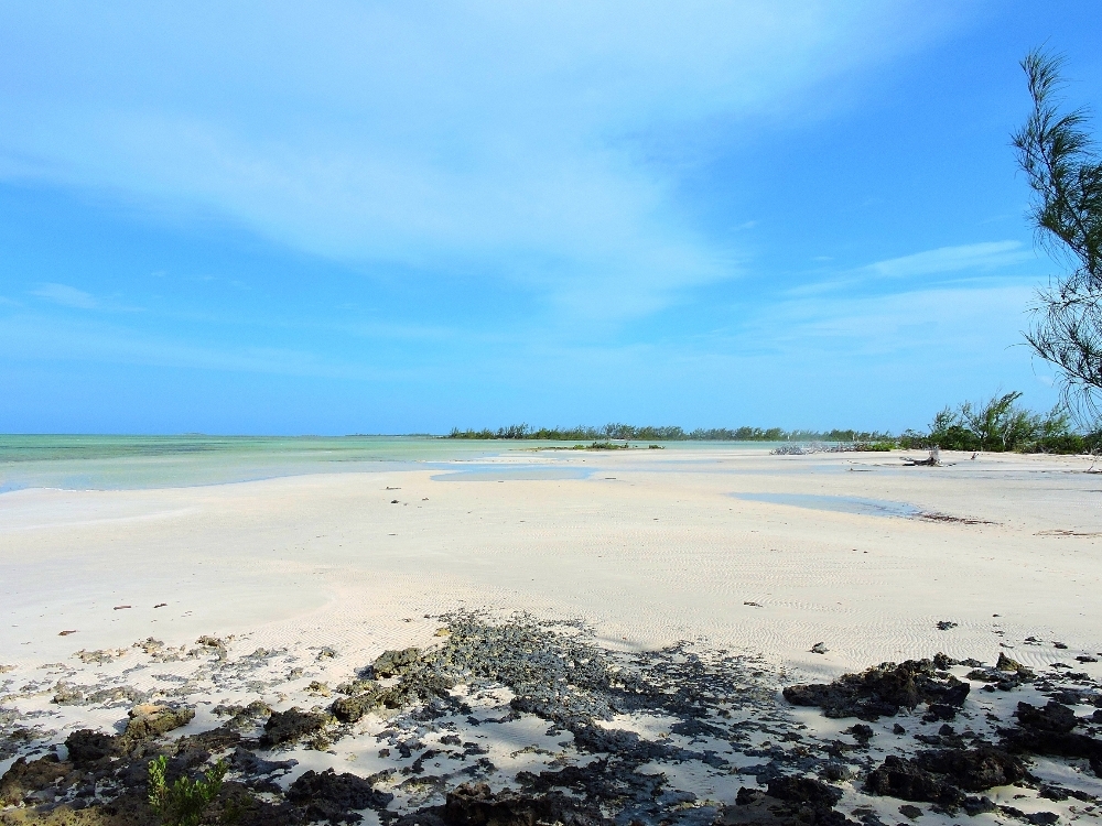 Beach on Andros