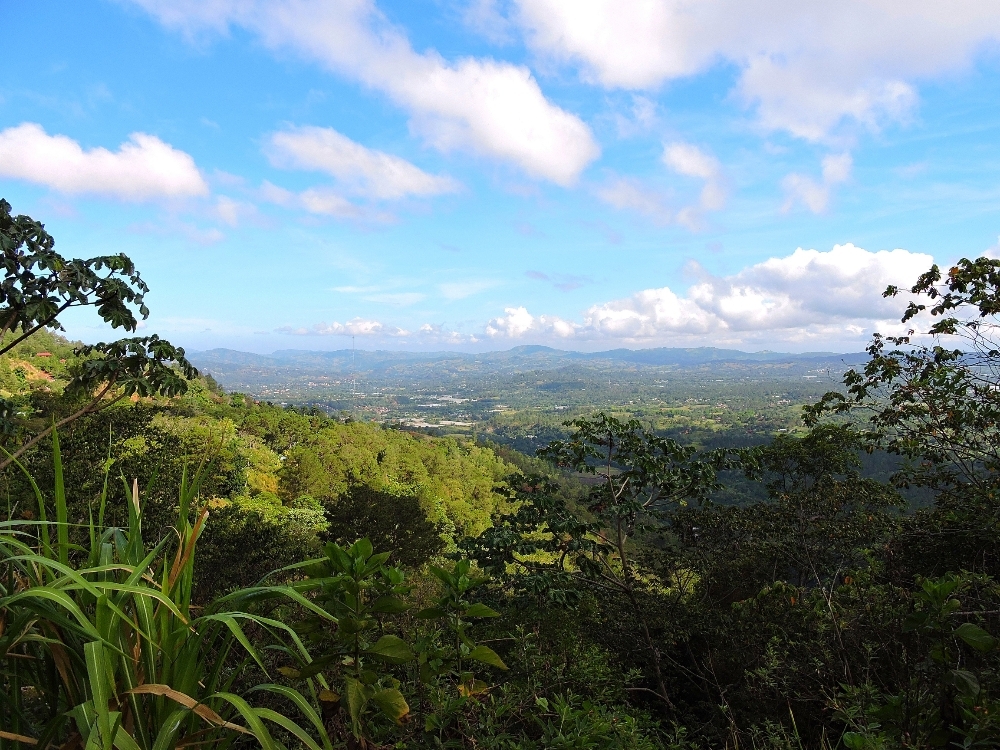 Dominican countryside