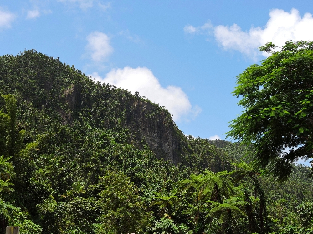 El Yunque El Yunque