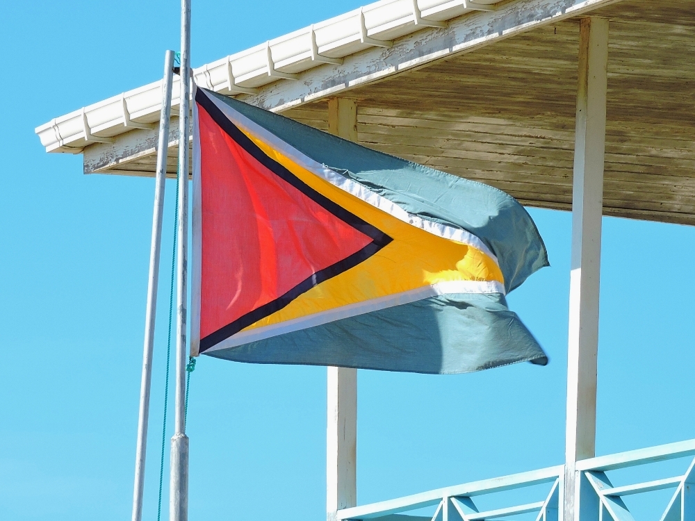 Guyana flag