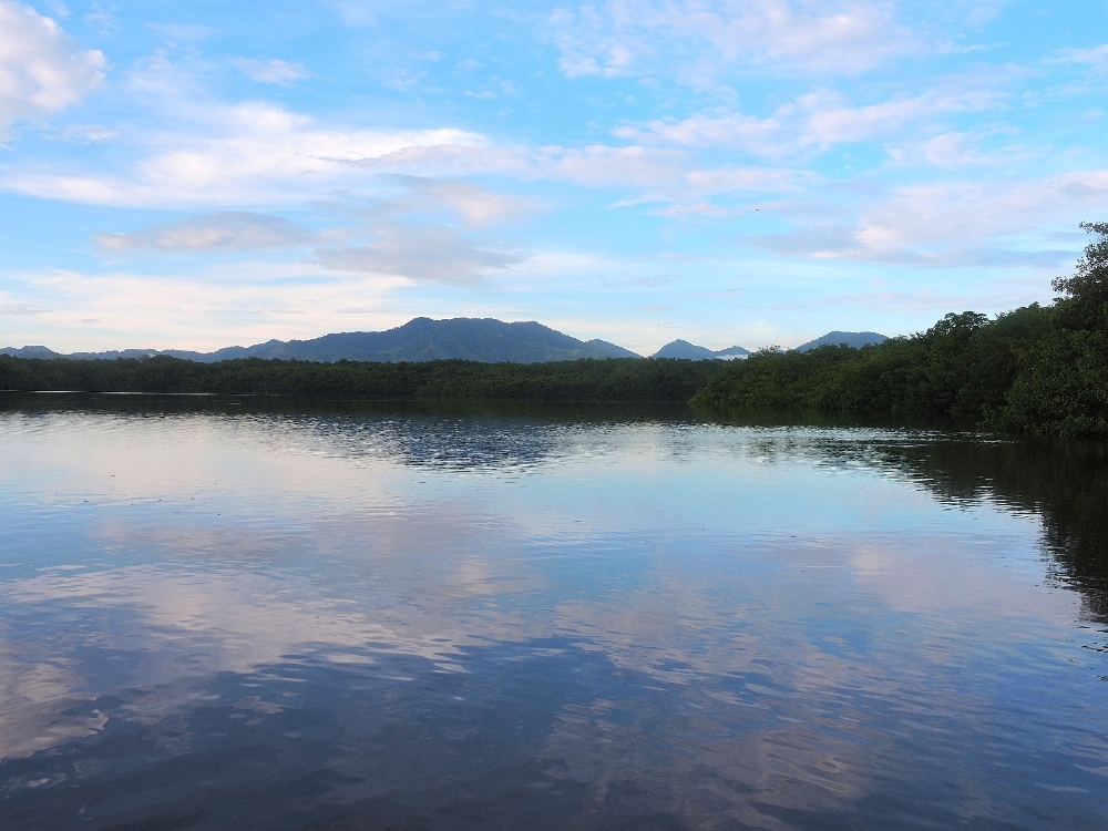 Caroni Wetlands