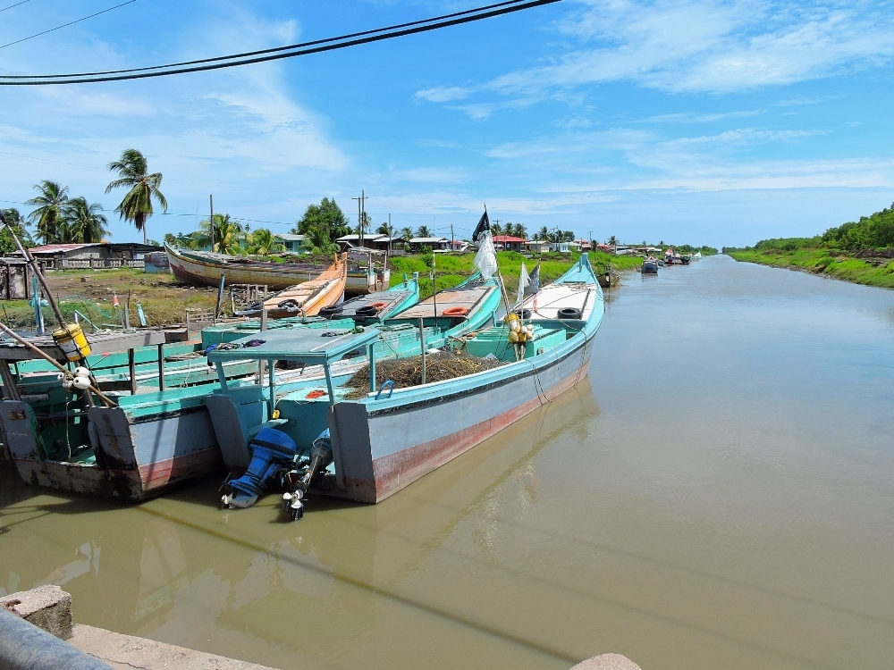 Canal in Guyana