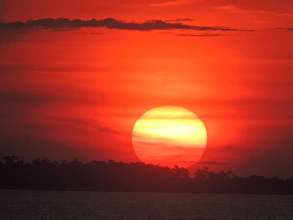 Amazon sunset