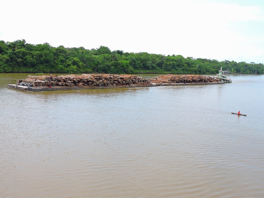 Barge with logs