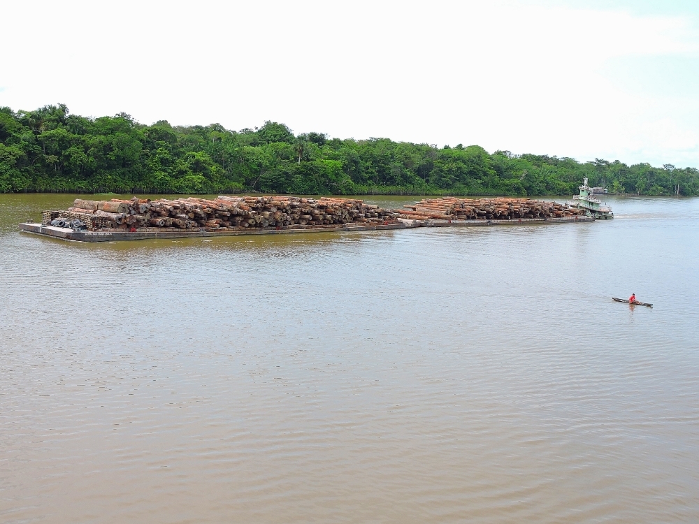 Barge with logs Barge with logs