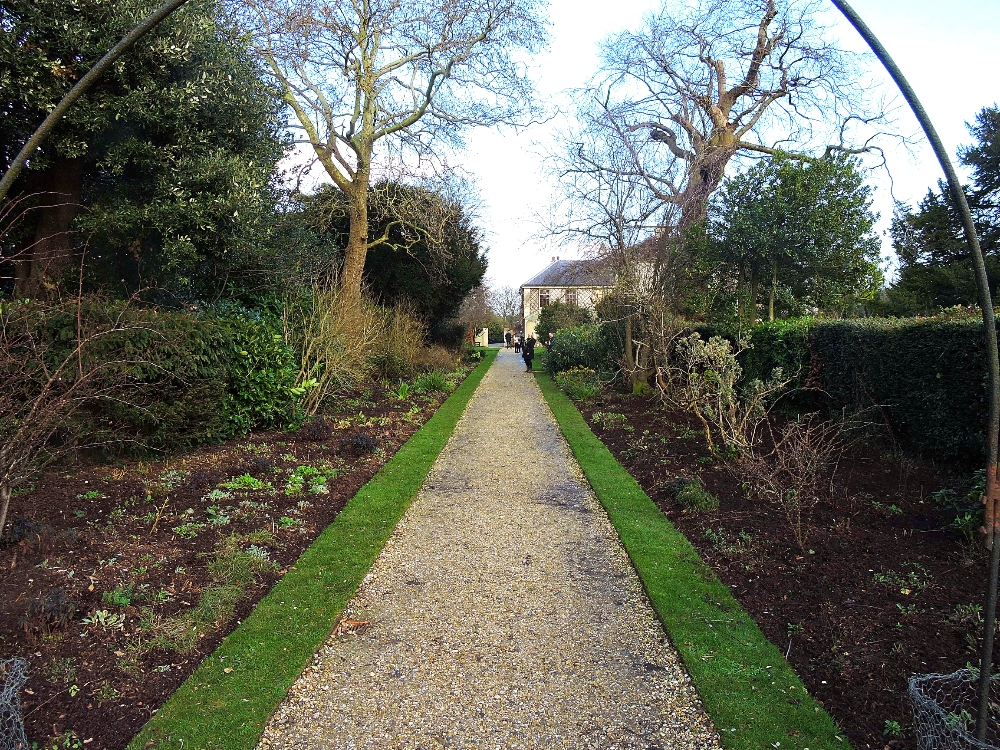  Sandwalk at Downe House 