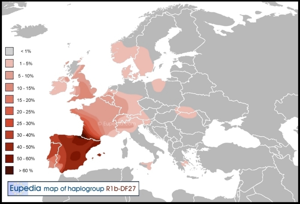  Z278 map 