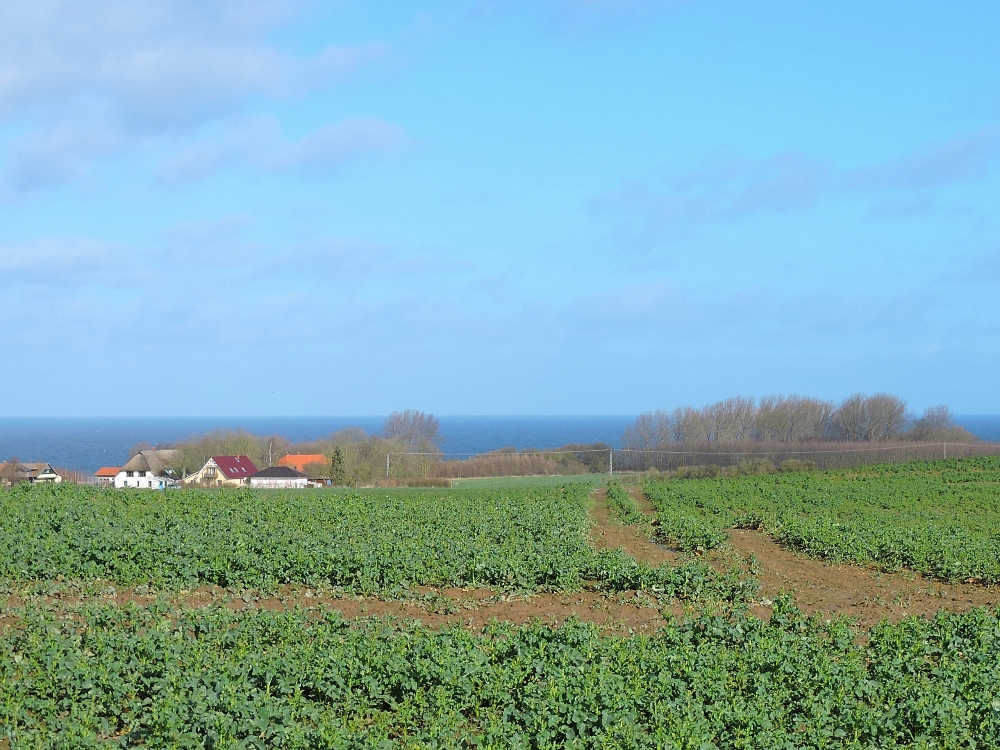 Mecklenburg Coast Mecklenburg Coast
