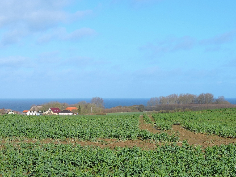  Mecklenburg Coast