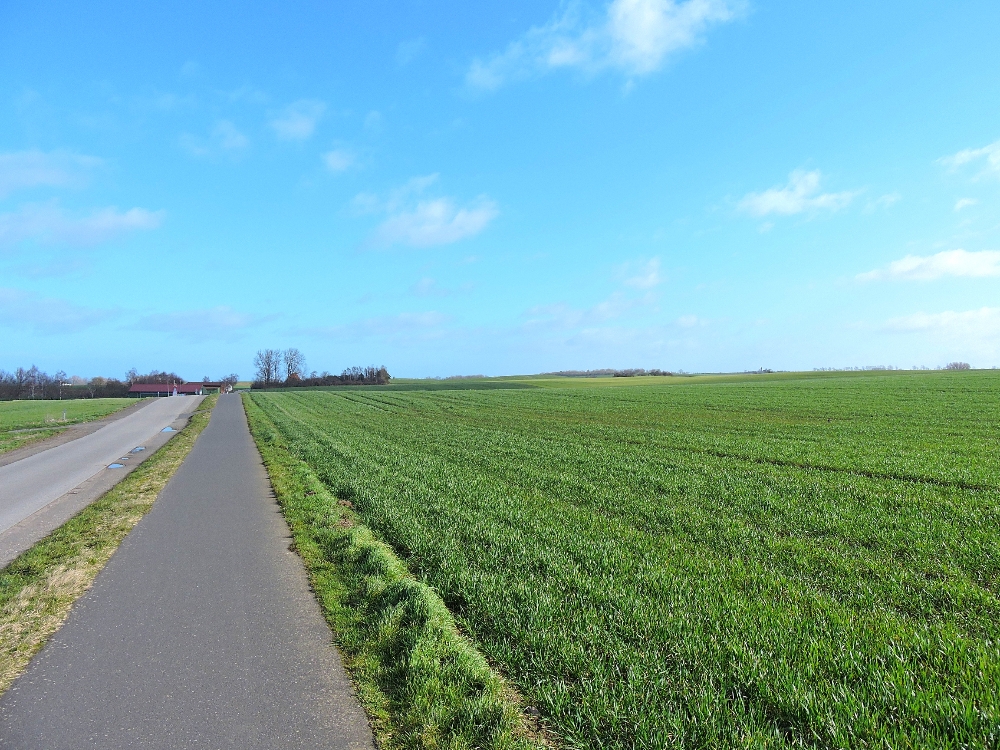 Road with Bike Path Road with Bike Path