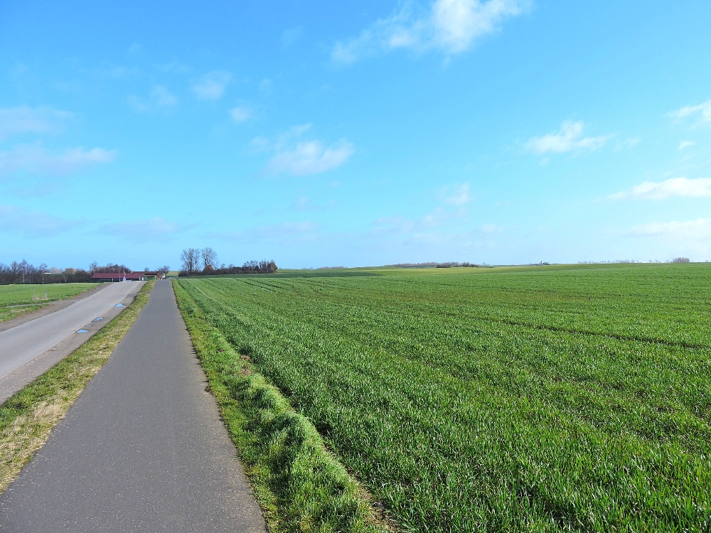  Road with Bike Path 